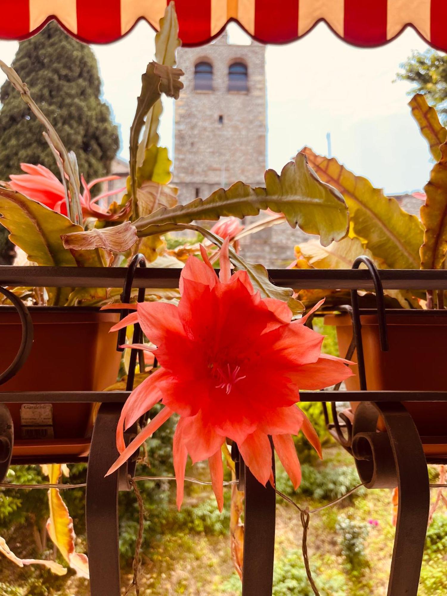 The Tower Of The Old King Desenzano del Garda